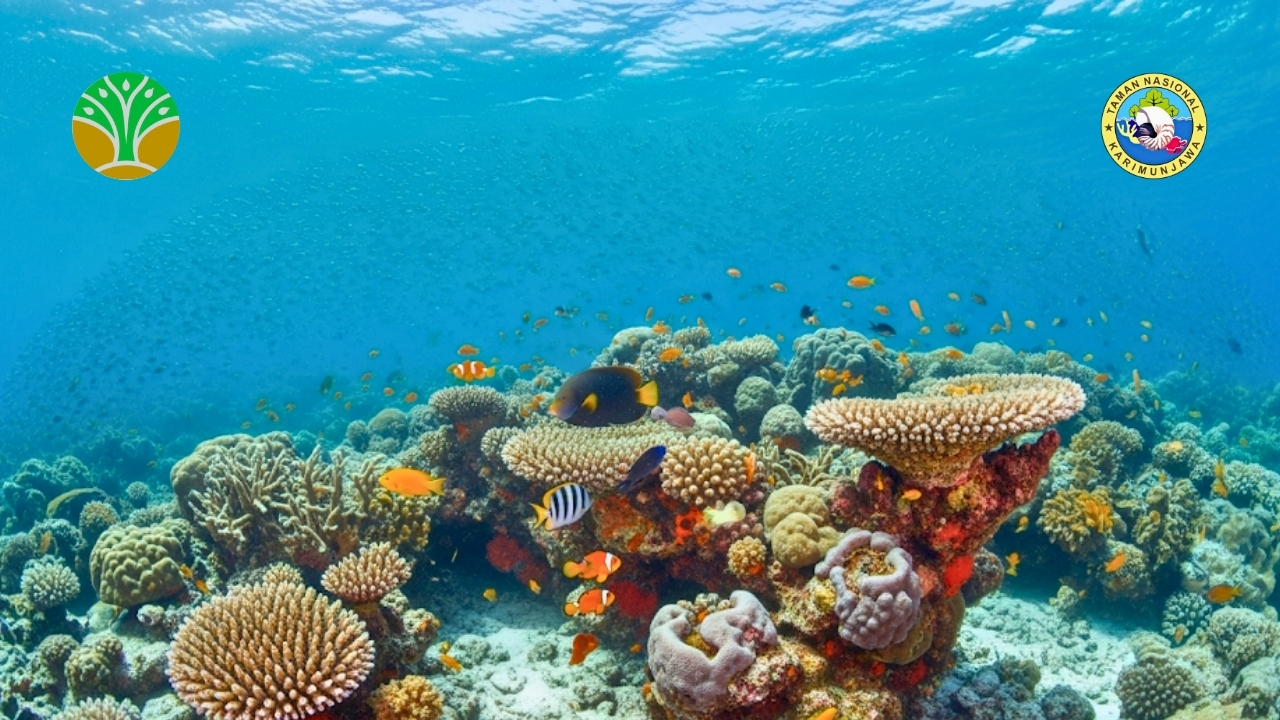 Pemanfaatan Berkelanjutan Taman Nasional Karimunjawa