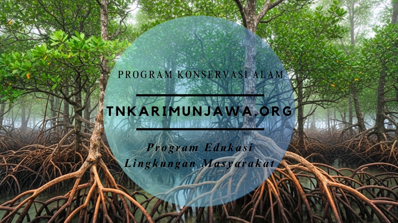 Program Edukasi Lingkungan Masyarakat
