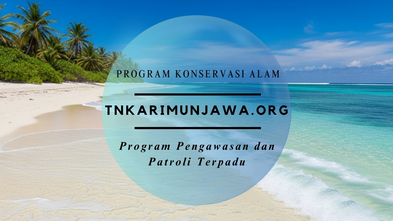 Program Pengawasan dan Patroli Terpadu