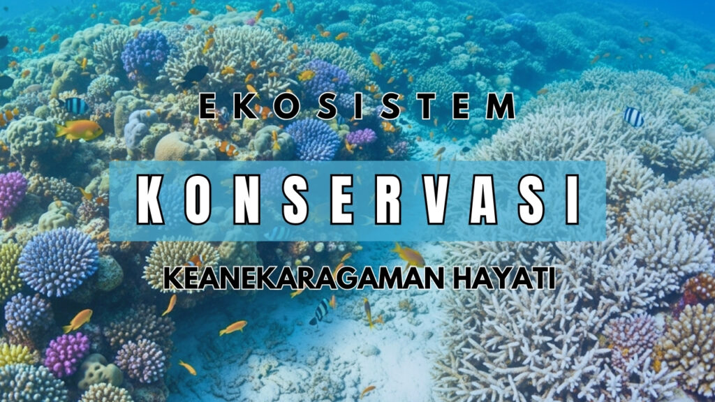 TANTANGAN DALAM KONSERVASI TAMAN NASIONAL KARIMUNJAWA