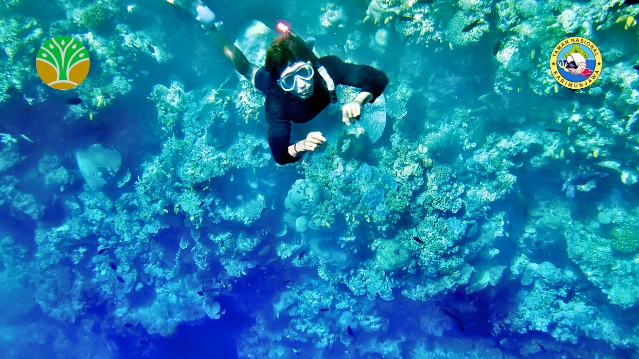 Taman Laut Bunaken - Sulawesi Utara