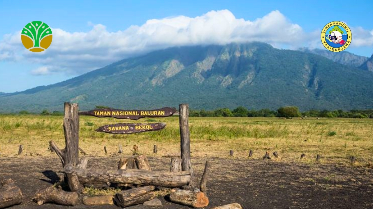 Taman Nasional Baluran