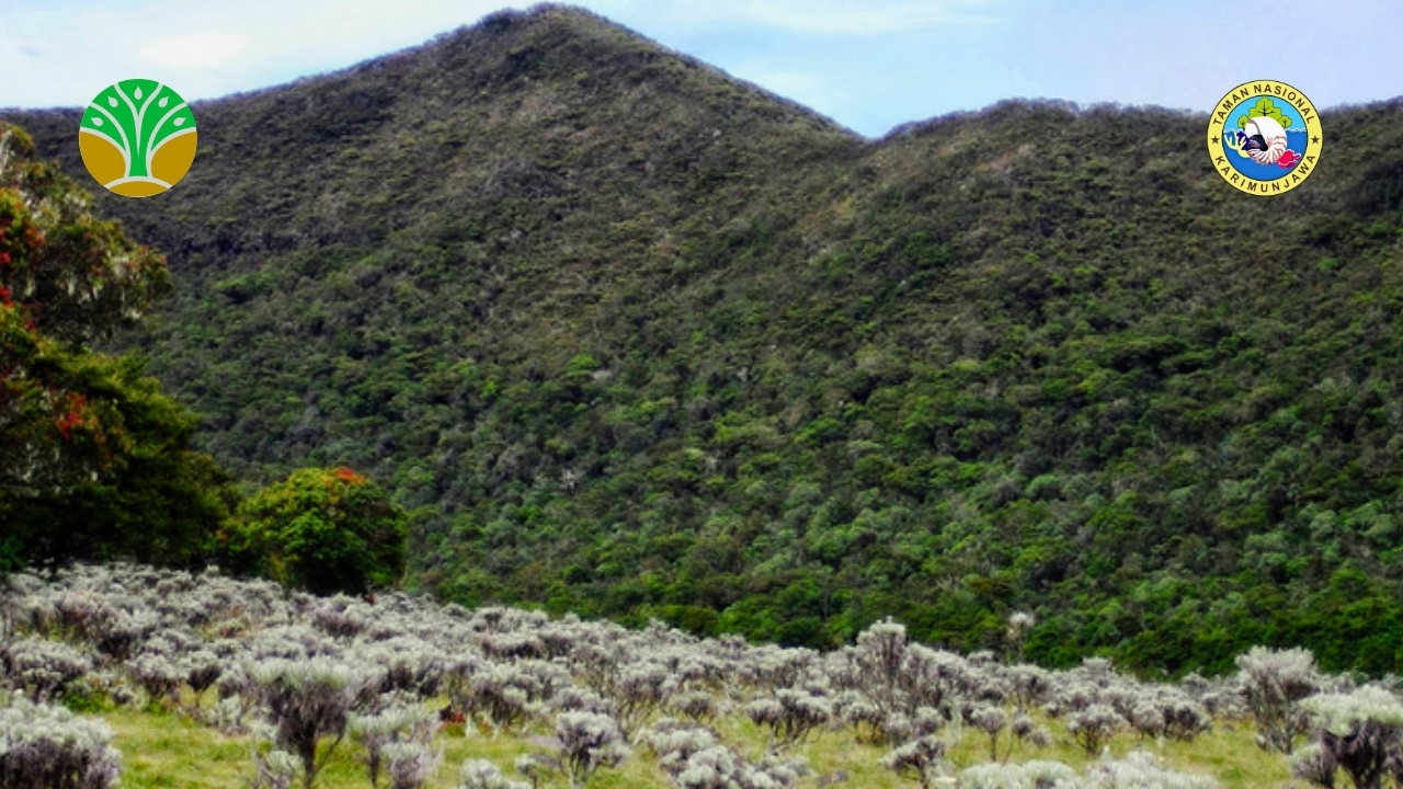Taman Nasional Gunung Gede Pangrango