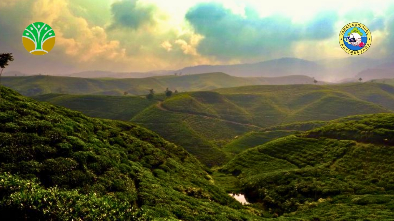 Taman Nasional Gunung Halimun Salak