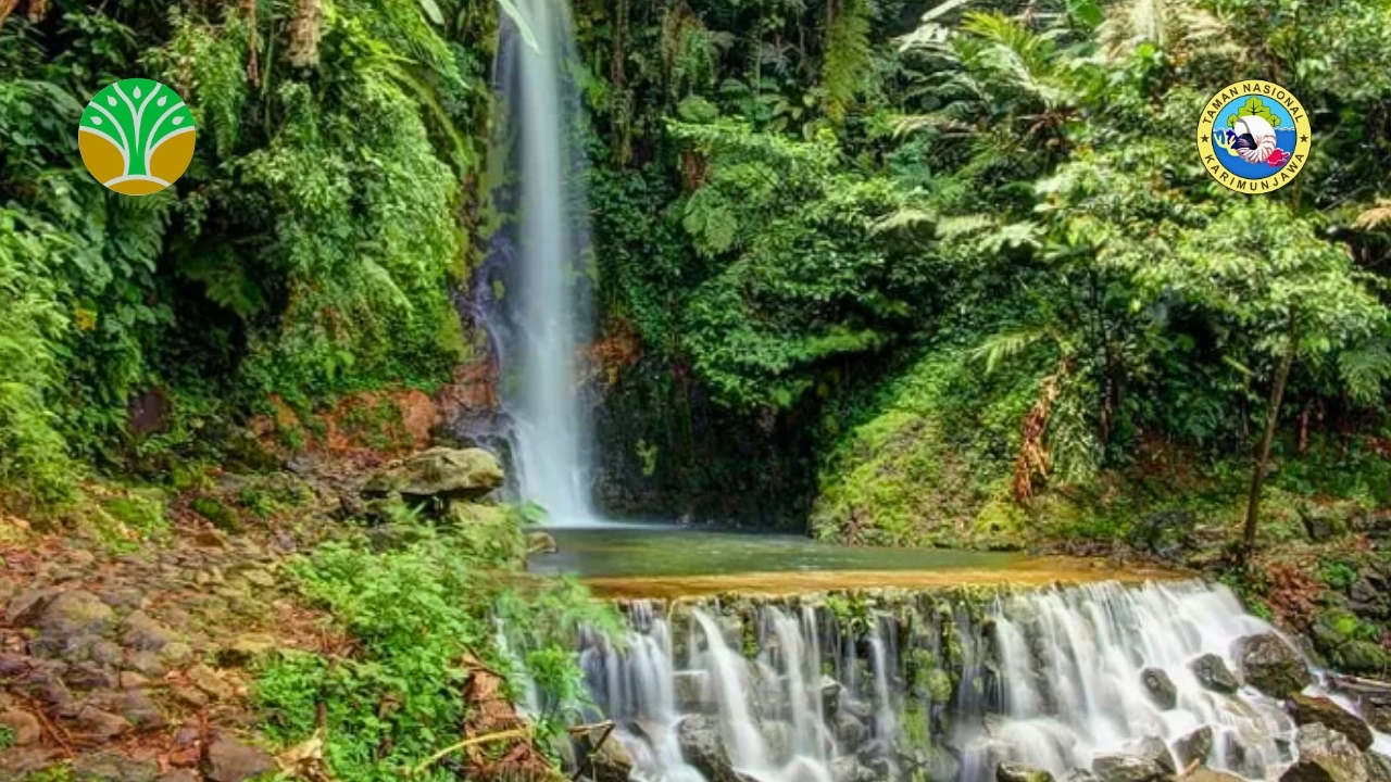 Taman Nasional Gunung Halimun Salak