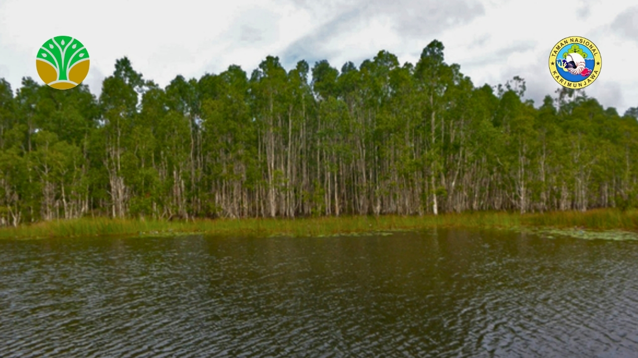 Taman Nasional Wasur