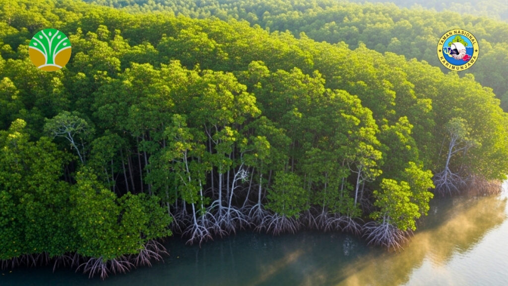 Visi Konservasi Taman Nasional Karimunjawa